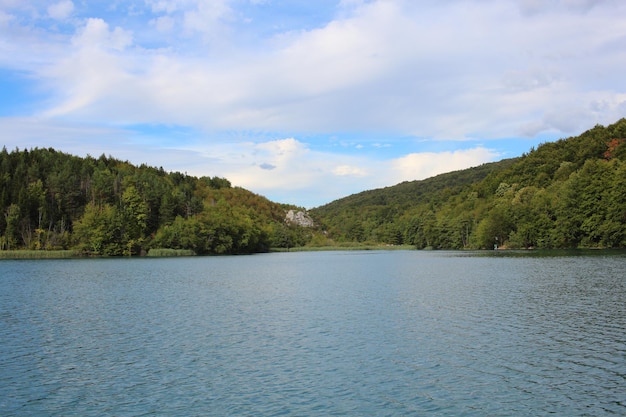 Scenic view of lake by trees against sky