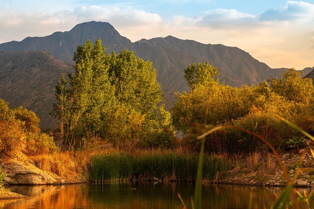 Scenic view of lake by trees against sky