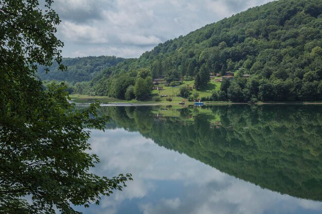 Scenic view of lake by trees against sky