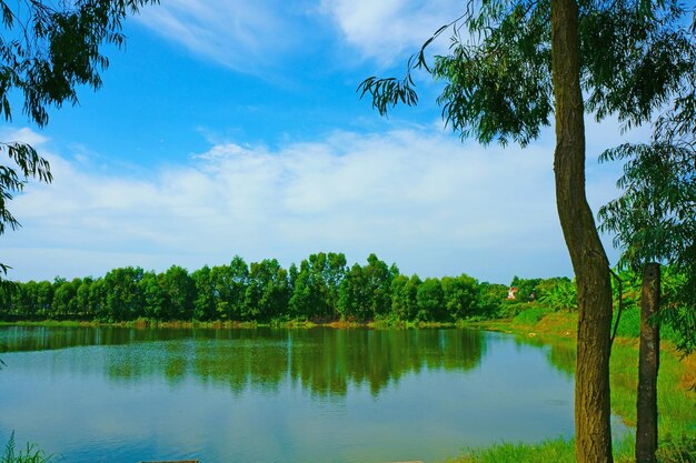 Scenic view of lake by trees against sky