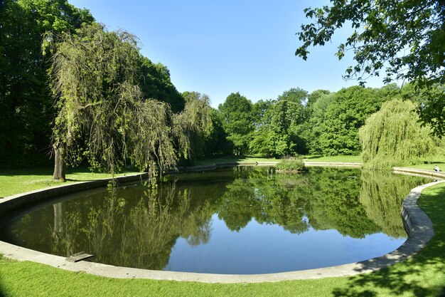 Photo scenic view of lake by trees against sky