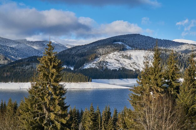 Scenic view of lake by trees against sky