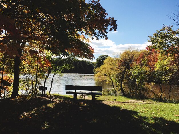 Foto vista panoramica del lago dagli alberi contro il cielo