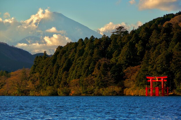 Photo scenic view of lake by trees against sky