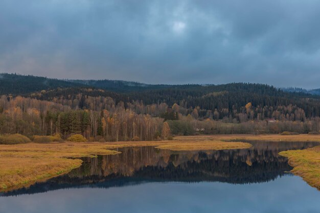 Scenic view of lake by trees against sky