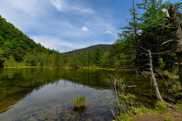 Photo scenic view of lake by trees against sky