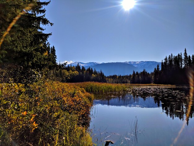 Scenic view of lake by trees against sky