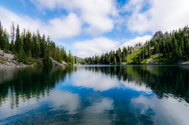 Scenic view of lake by trees against sky
