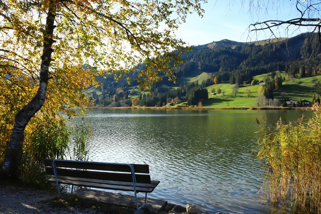 Scenic view of lake by trees during autumn