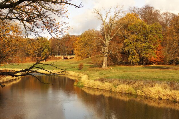 Scenic view of lake by trees during autumn