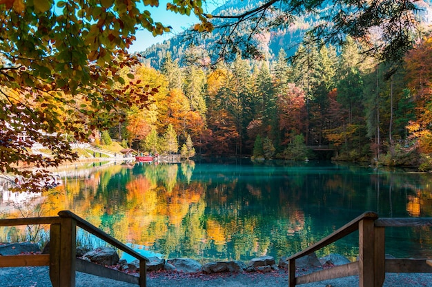 Photo scenic view of lake by trees during autumn