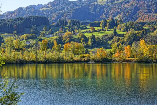 Photo scenic view of lake by trees during autumn