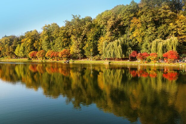 Scenic view of lake by trees during autumn