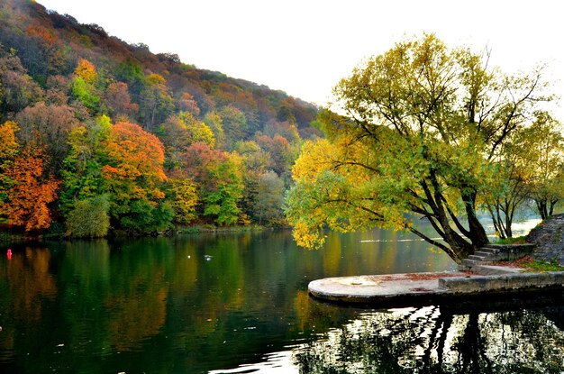 Photo scenic view of lake by trees during autumn