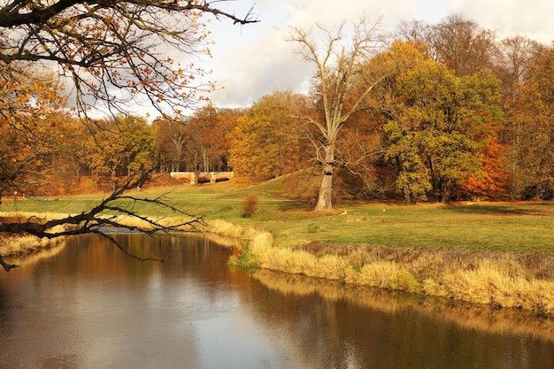 Foto la vista panoramica del lago dagli alberi durante l'autunno