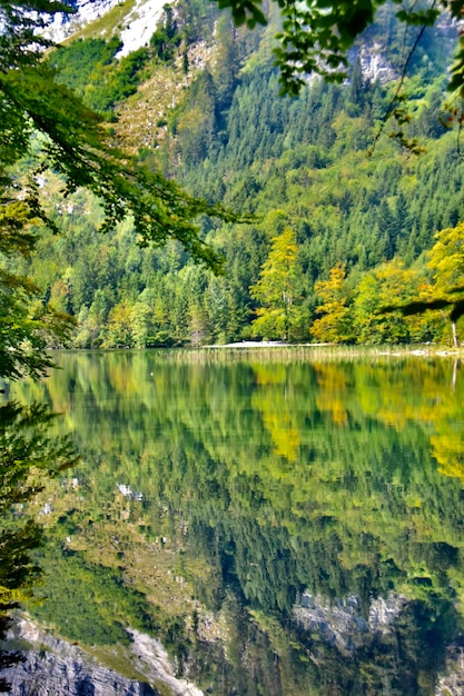 Foto vista panoramica del lago dagli alberi della foresta che si riflettono sull'acqua