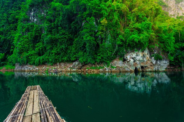 Scenic view of lake by trees in forest