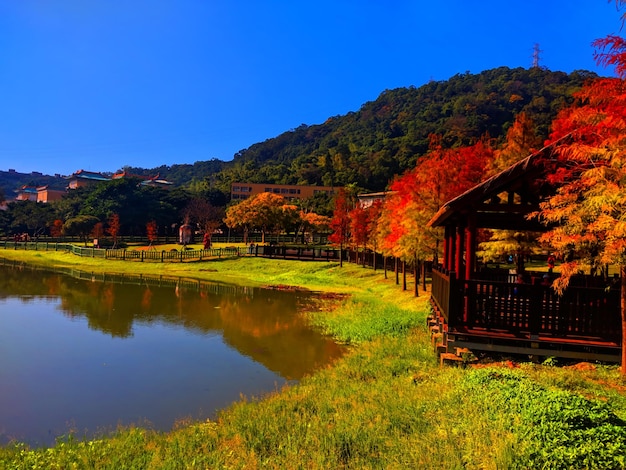 Scenic view of lake by trees and houses against clear sky