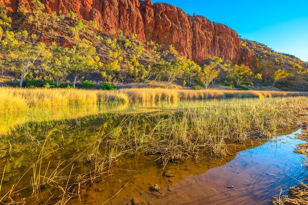 Photo scenic view of lake by trees on mountain