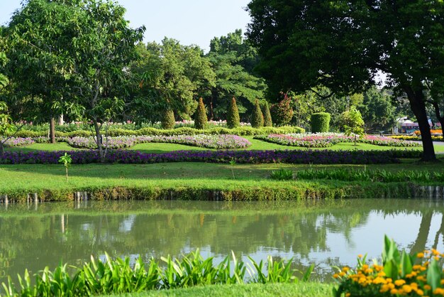 Foto vista panoramica del lago dagli alberi nel parco