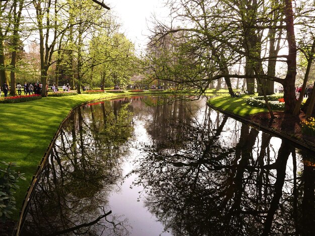 Scenic view of lake by trees in park