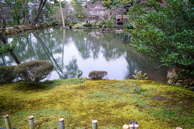 Scenic view of lake by trees