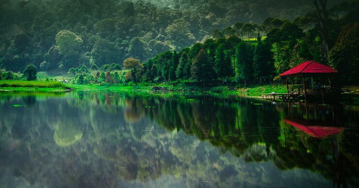 फोटो scenic view of lake by trees