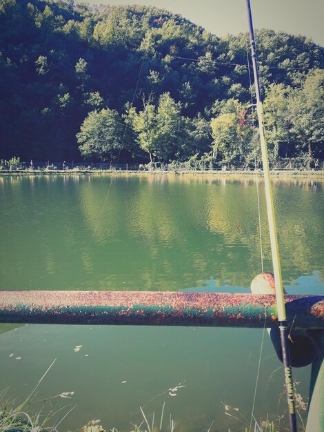 Scenic view of lake by trees