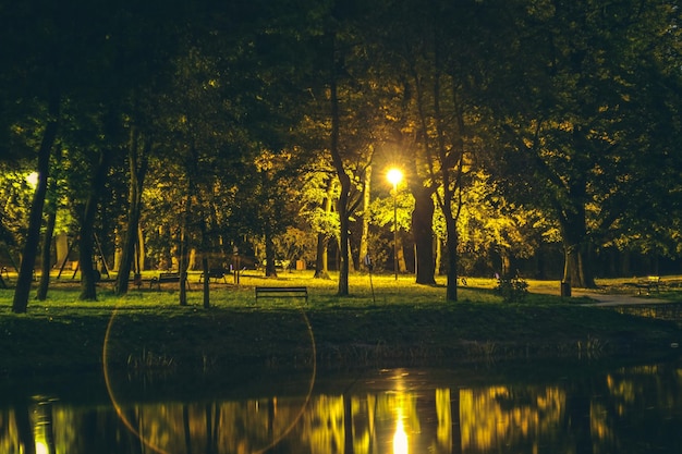 Foto la vista panoramica del lago dagli alberi