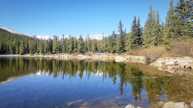 Foto vista panoramica del lago nella foresta contro un cielo limpido