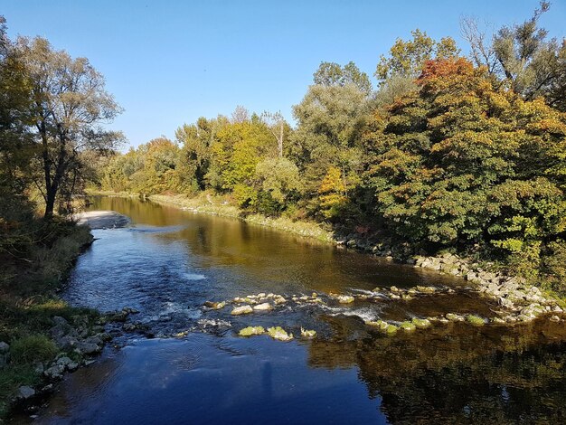 Foto vista panoramica del lago nella foresta contro un cielo limpido