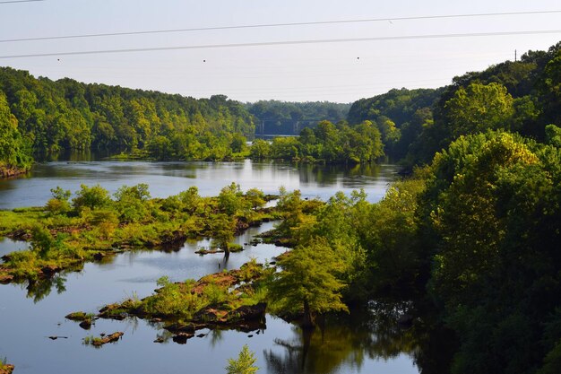 Foto vista panoramica del lago nella foresta contro un cielo limpido