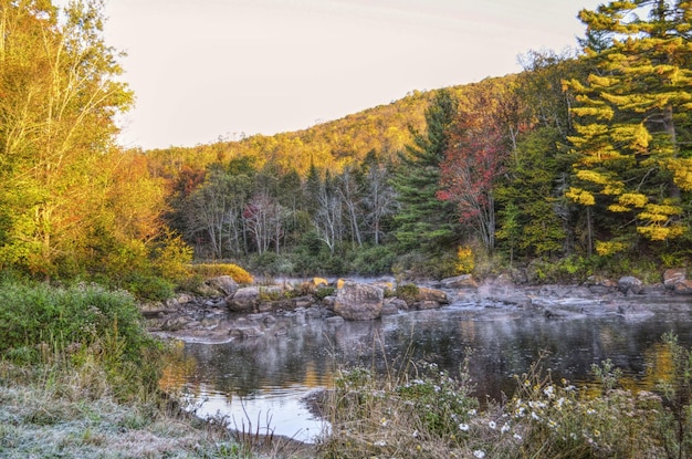 Photo scenic view of lake in forest against sky during autumn