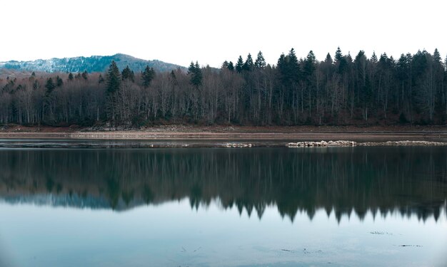 Photo scenic view of lake in forest against sky