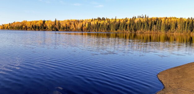 Photo scenic view of lake in forest against sky