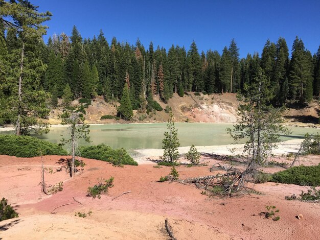 Foto vista panoramica del lago nella foresta contro il cielo