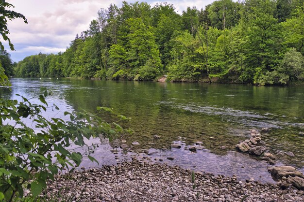 Foto vista panoramica del lago nella foresta contro il cielo