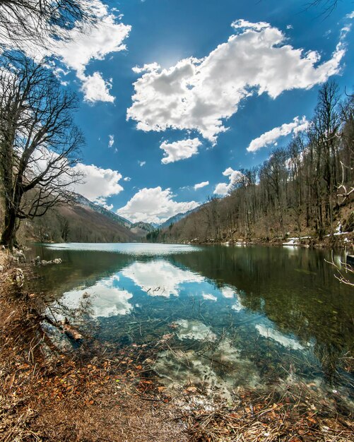 Foto vista panoramica del lago nella foresta contro il cielo