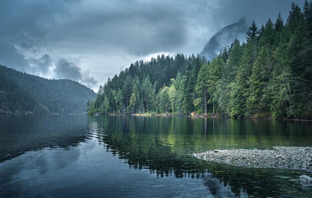 Photo scenic view of lake in forest against sky