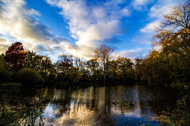 Scenic view of lake in forest against sky