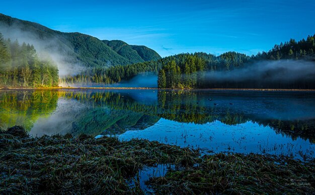 Scenic view of lake in forest against sky