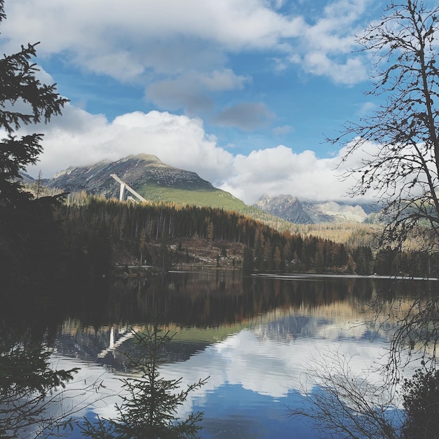 Foto vista panoramica del lago nella foresta contro il cielo