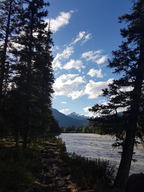 Foto vista panoramica del lago nella foresta contro il cielo