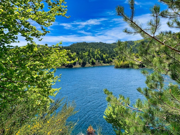 Photo scenic view of lake in forest against sky