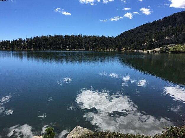 Foto vista panoramica del lago nella foresta contro il cielo