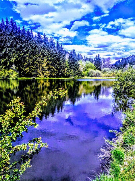 Scenic view of lake in forest against sky