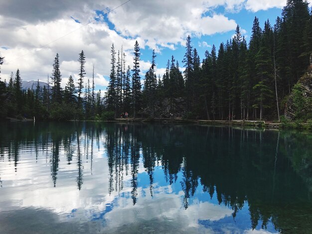 Photo scenic view of lake in forest against sky