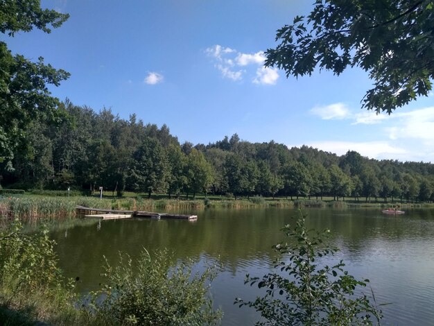 Foto vista panoramica del lago nella foresta contro il cielo