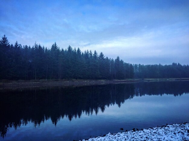 天空に照らされた森の湖の景色