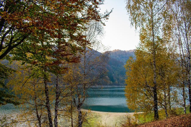 秋の森の中の湖の景色